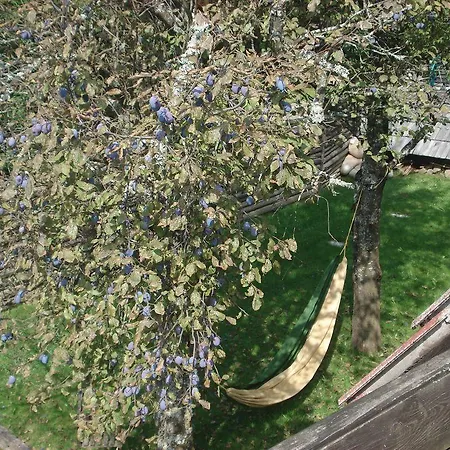 Regina Chalet